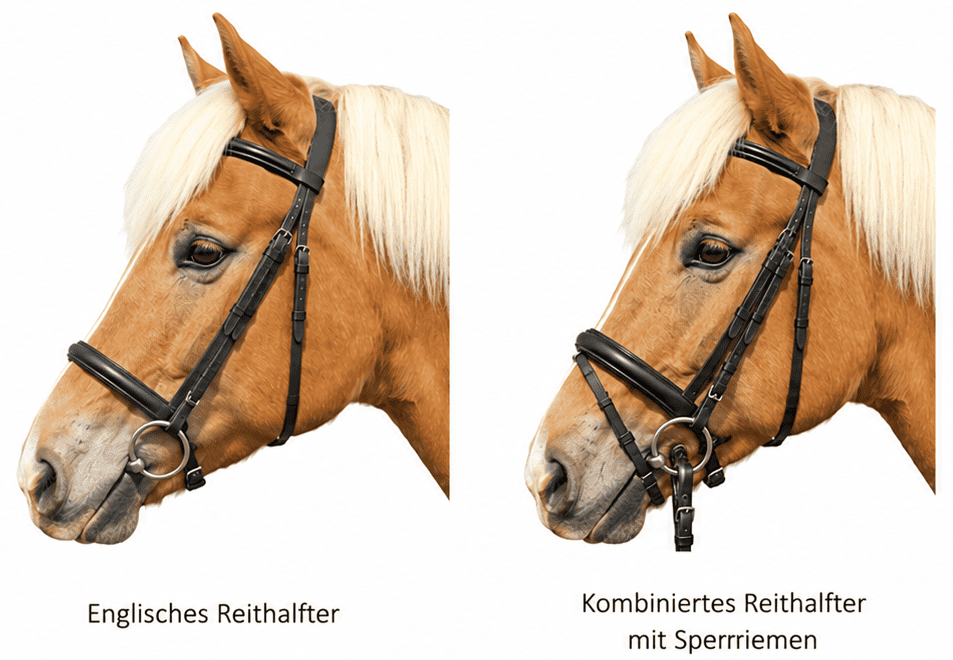 Reithalfter