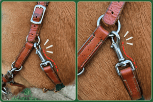 Bolzenkarabiner